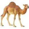 Schleich Wild Life Dromedar, Spielfigur 2 Schleich Wild Life Dromedar, Spielfigur -Spielzeug Rabatte Schleich Wild Life Dromedar Spielfigur@@1sscw02b